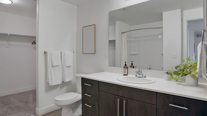 Palisades 2 bedroom apartment bathroom vanity with modern cabinetry at Parkway Lofts in Orem Utah