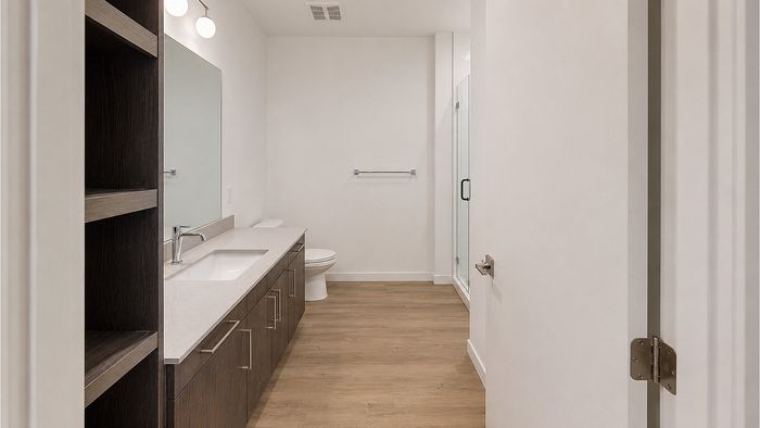 Spacious bathroom with oversized vanity, walk-in glass shower, and contemporary finishes at Bissinger & Co.