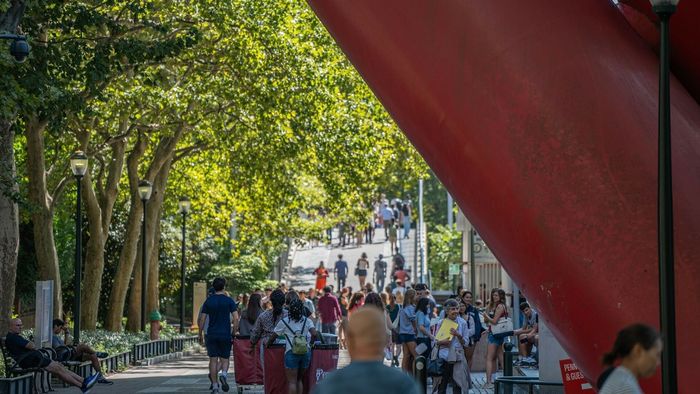 Locust Walk