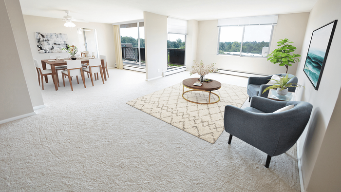 Large Apartment Living Room
