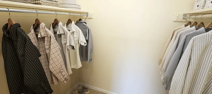 Large Walk-In Closets