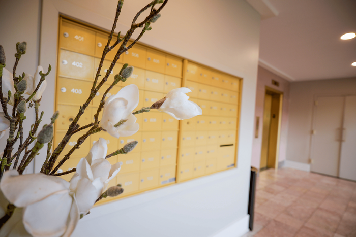 Modern commercial units located on-site at Wynnewood House.