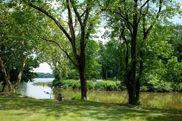 Serene riverside view with lush green trees and tranquil water, perfect for a peaceful escape.