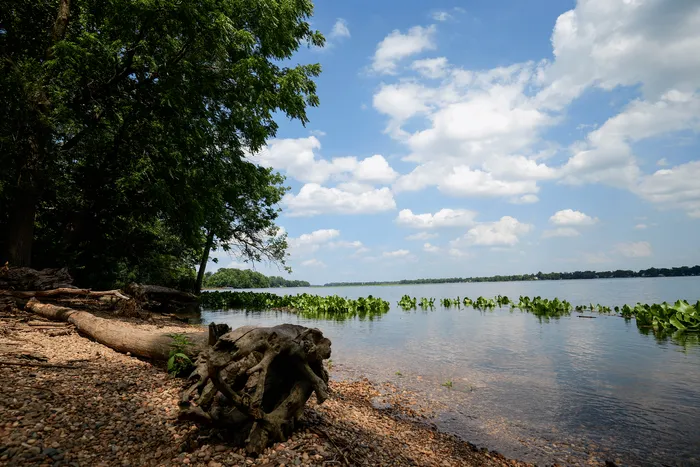 Serene lakeside view with lush greenery and vibrant blue sky, perfect for a tranquil escape into nature.