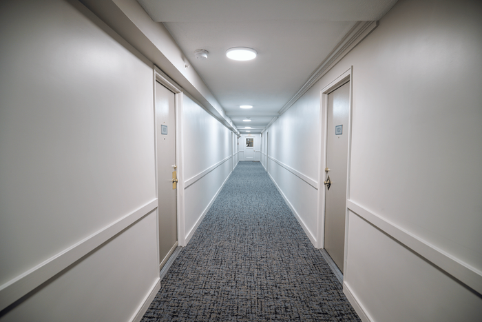 Elegant and well-lit apartment hallway with contemporary design, featuring sleek doors along a plush carpeted path.