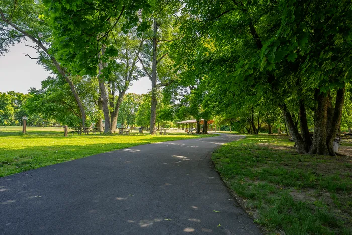 Inviting park with lush greenery and a winding path perfect for leisurely strolls and picnics.