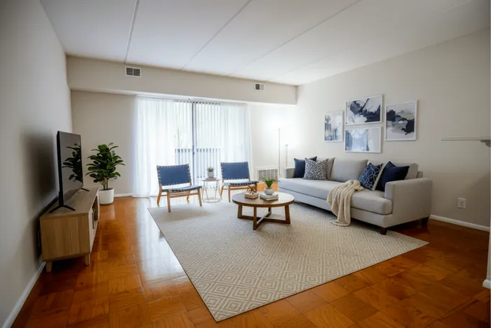 Bright and airy living room with elegant decor featuring a cozy gray sofa, chic artwork, and stylish blue chairs for a modern touch.