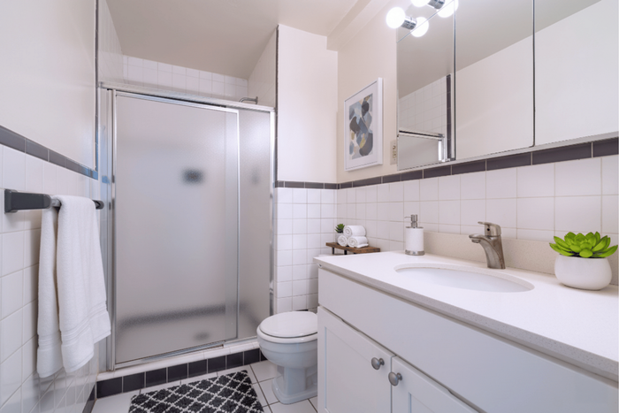 Modern bathroom featuring a sleek glass shower, elegant vanity with storage, and stylish decor.