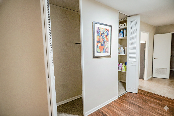 Charming hallway with elegant hardwood flooring, featuring a vibrant abstract painting and ample storage space in a modern apartment.