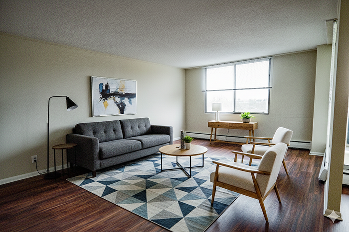 Elegant living room with modern gray sofa, chic geometric rug, and abundant natural light through large windows.