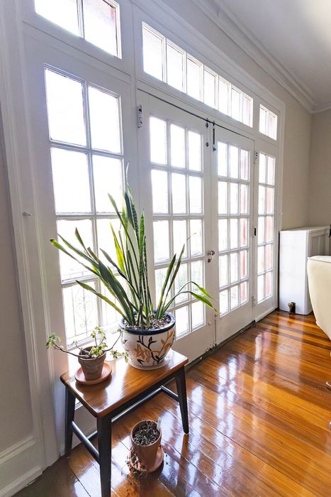 Bright and inviting apartment corner with a sunlit French door, polished hardwood floors, and elegant potted plants on a wooden table.