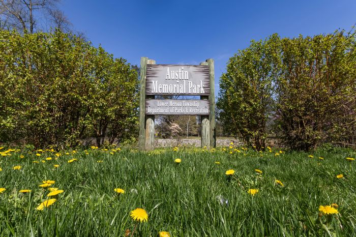 Tranquil park scene featuring Austin Memorial Park sign surrounded by lush greenery and vibrant yellow wildflowers.