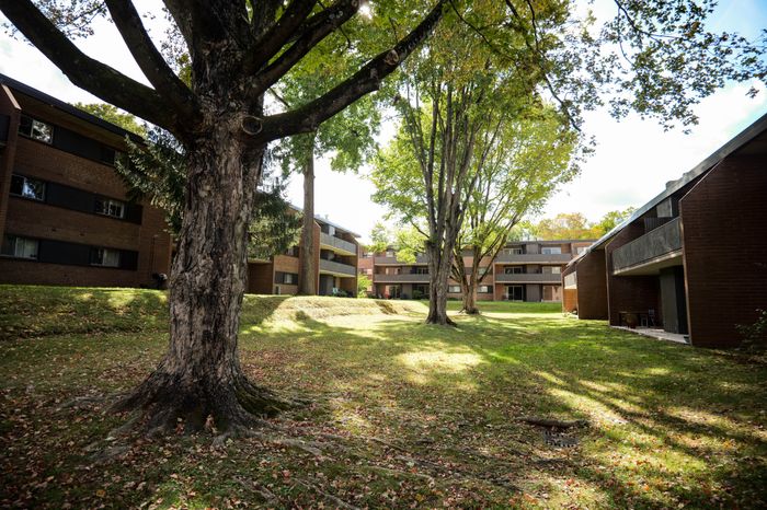 Charming apartment complex nestled in a serene, tree-lined setting, showcasing spacious green lawns and inviting brick architecture.