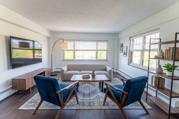 Bright and inviting living room with modern furnishings, featuring a plush sofa, elegant blue chairs, large flat-screen TV, and natural light streaming through wide windows.