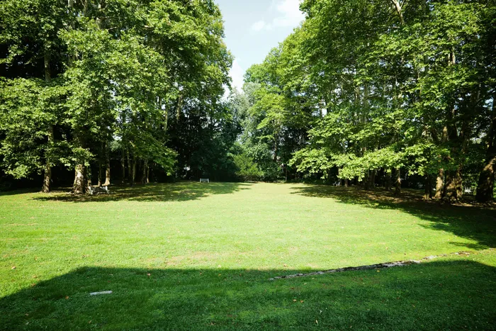 Expansive green lawn surrounded by lush trees, perfect for outdoor relaxation and recreation.