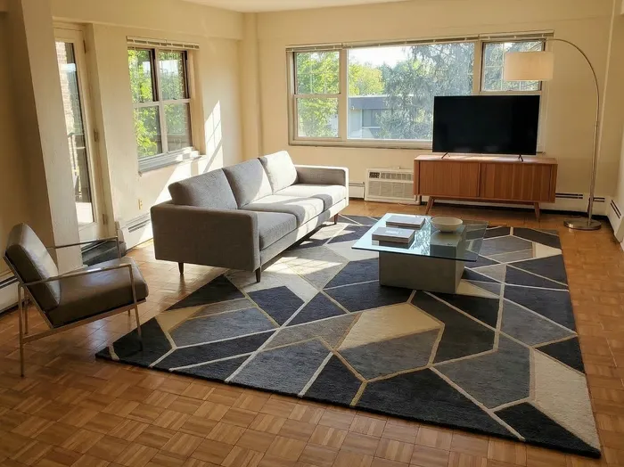 Bright and inviting living room with large windows, sleek modern furniture, and a stylish geometric rug creating a cozy ambiance.