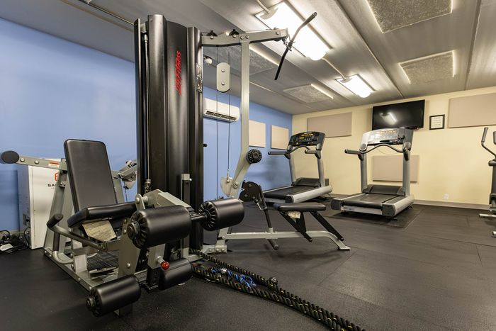 Modern fitness center featuring state-of-the-art gym equipment, including a weight machine, treadmills, and a TV for a dynamic workout experience.