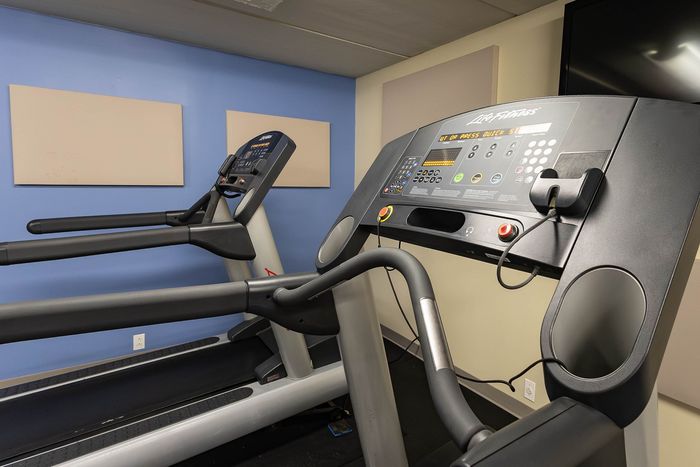 Inviting fitness corner with modern treadmills against a calming blue wall, perfect for energizing workouts.