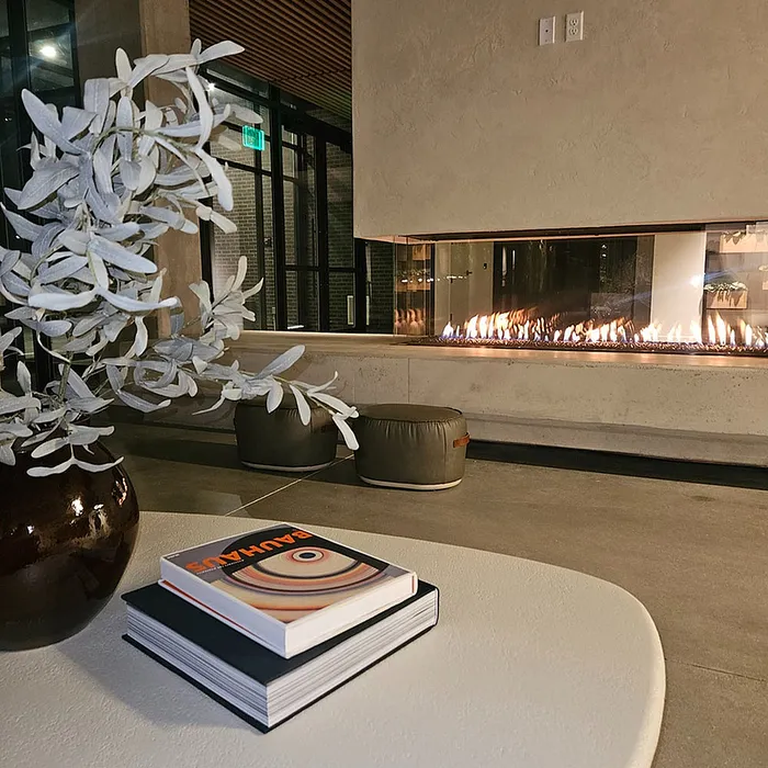 Downtown Denver Apartments
