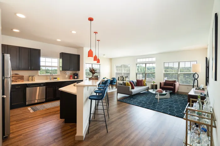 kitchen and living room