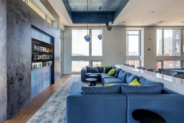 TV Lounge Area