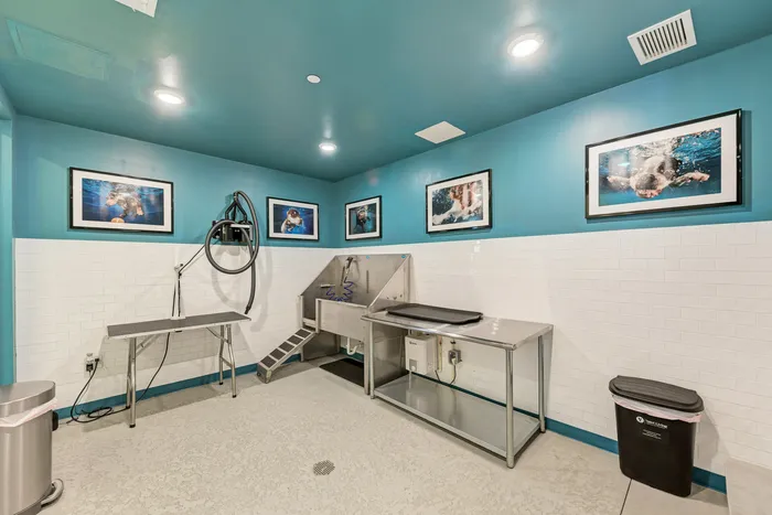 dog cleaning station at a luxury apartment in Downtown Sarasota FL