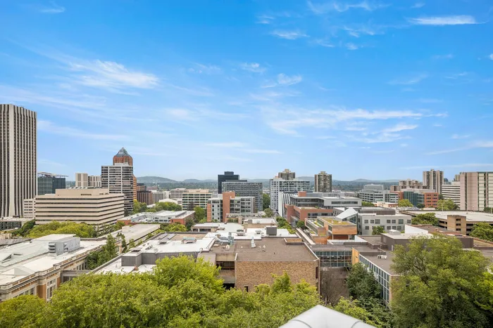 View from the Vue