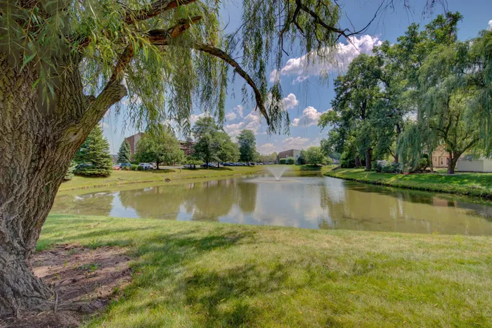 Lombard Apartments Pond - Residences at Lakeside