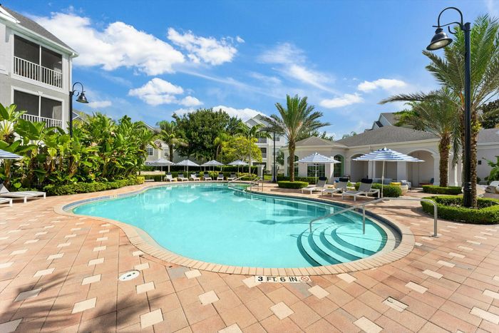 Pool and palm trees