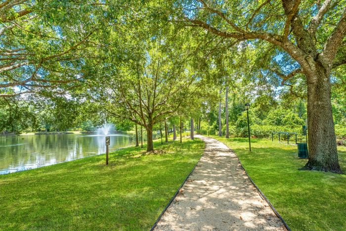 walking trail