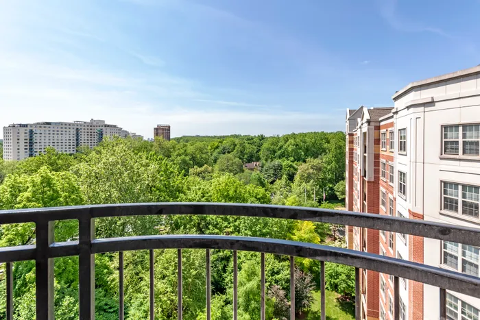 North Bethesda Apartment Balcony View | Inigo's Crossing