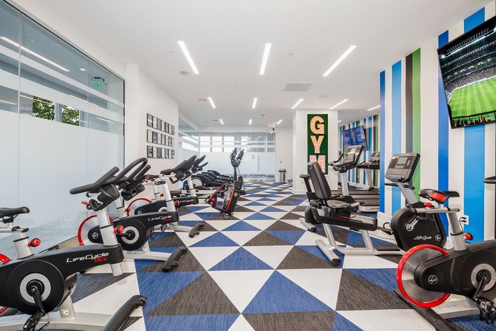 gym