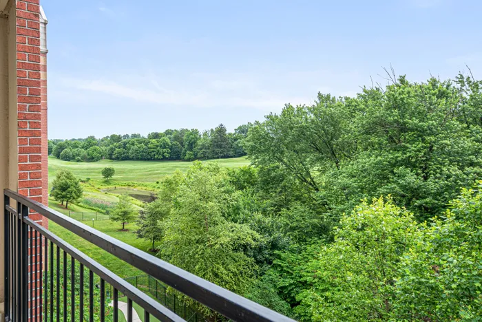 patio view of green field and lake