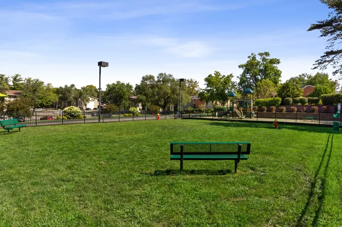 Dog Park
