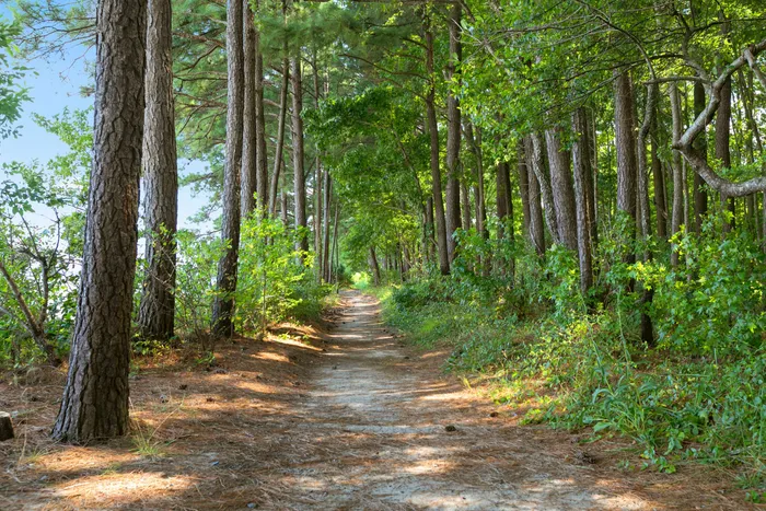 Path to Beach
