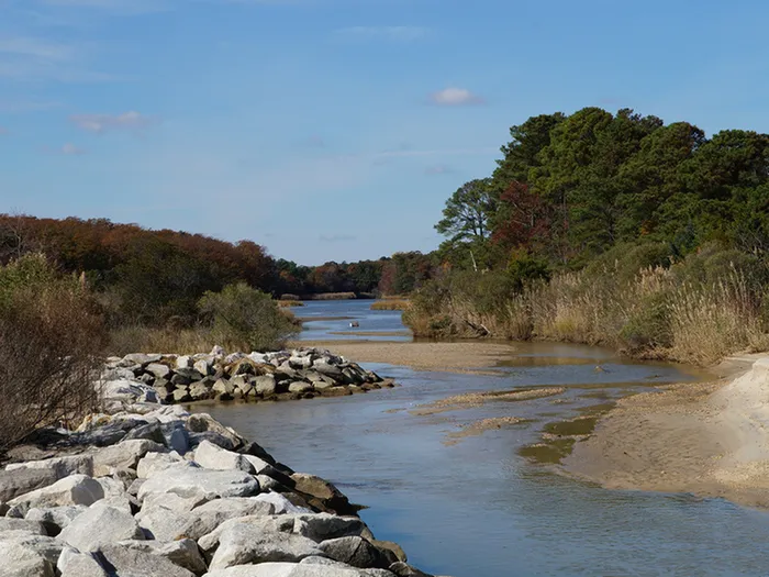 Spyglass at Cedar Cove | Chesapeake Bay | Apartments in Lexington