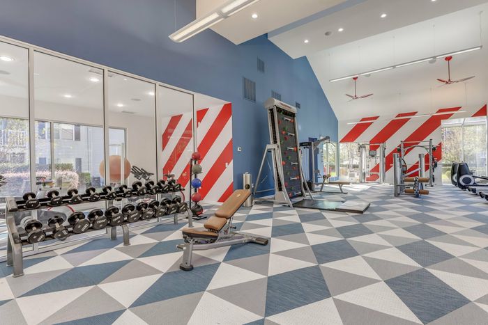 Fitness Center - Free Weights