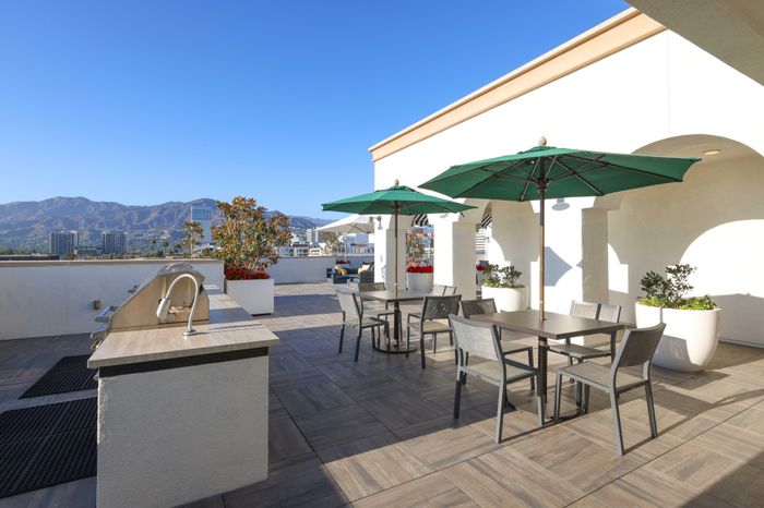 Rooftop Deck and Grills