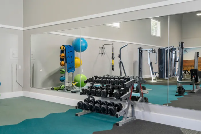 gym free weights