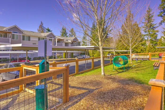 pet park