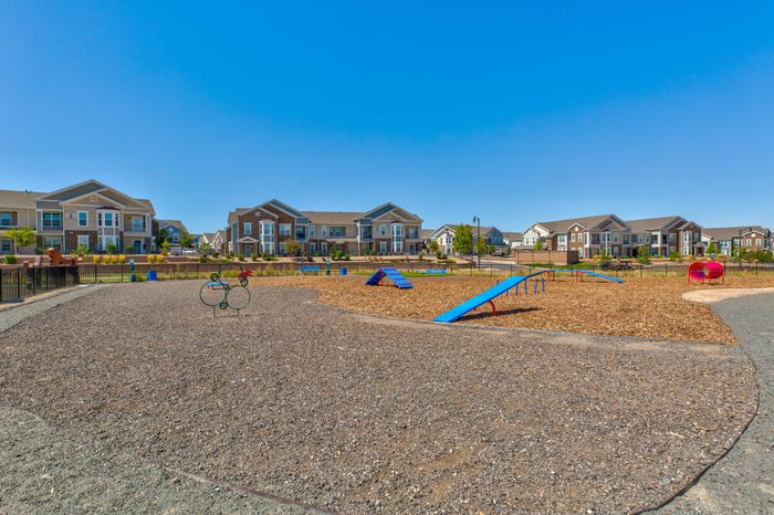 Dog Park