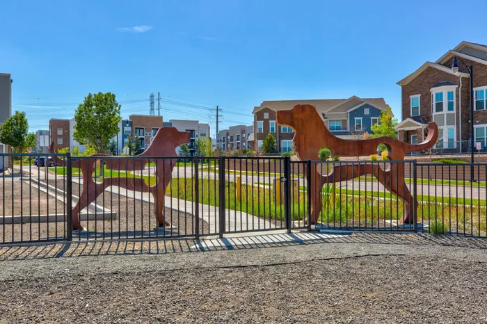 Dog Park