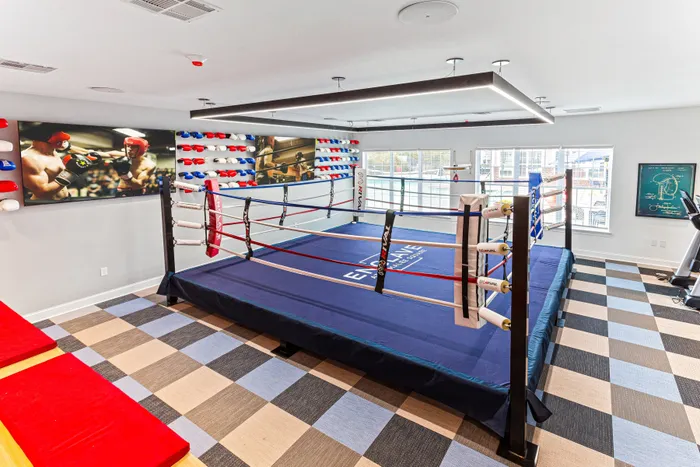 boxing ring