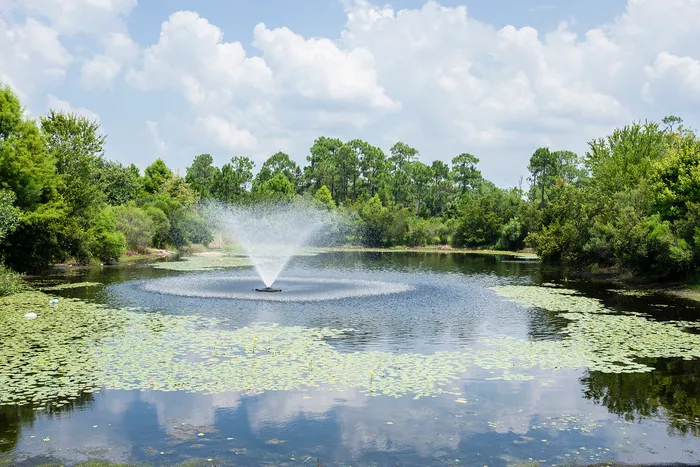 Lake