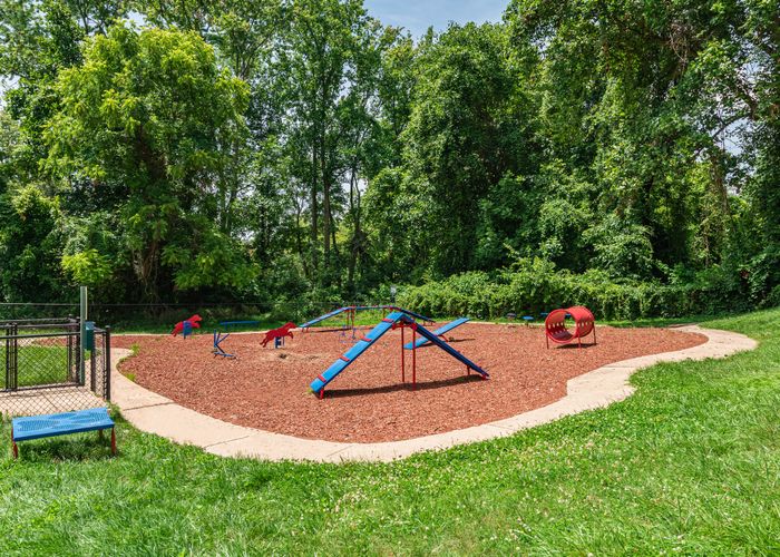 pet park