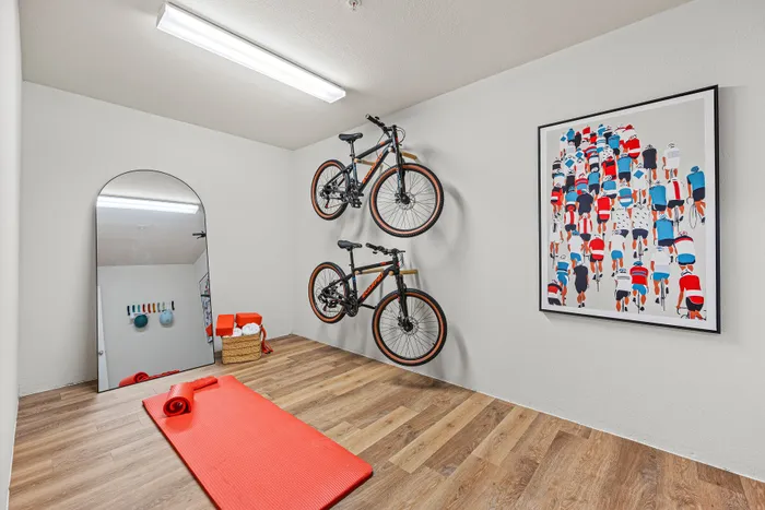 bonus room