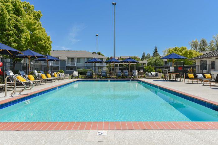 Resort Style Pool