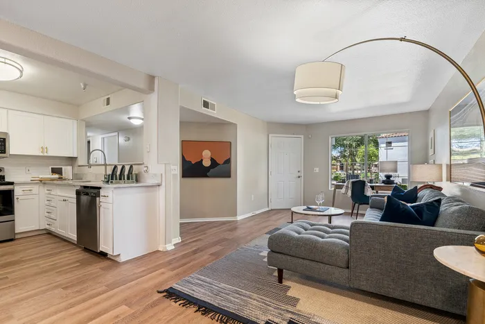 Living Room and Kitchen