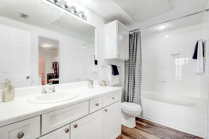 Model Bathroom