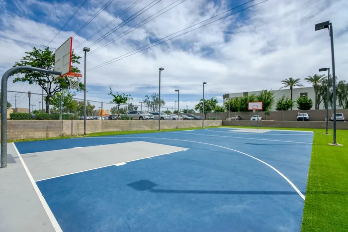 basketball court